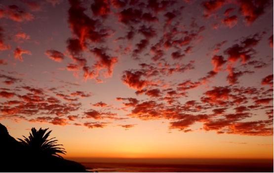 Cape Rose Cottage - Penthouse In Camps Bay Cape Town Exterior photo